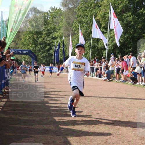 08.09.2024 - Airport Race Strokosch-Dieckow http://msf.ph/oto/7004908 08.09.2024 11:27:38 Ziel 1608, 1781, 1808, 1820, 1831, 1869, 1875, 1900, 1904, 3405, 3416, 3417, 3446 meine-sportfotos.de