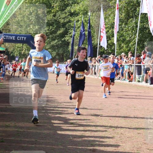 08.09.2024 - Airport Race Strokosch-Dieckow http://msf.ph/oto/7004996 08.09.2024 11:27:41 Ziel 1608, 1746, 1781, 1808, 1820, 1866, 1869, 1900, 1902, 1904, 1927, 3405, 3416, 3417, 3429, 3446 meine-sportfotos.de