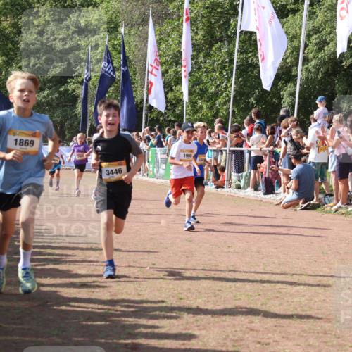 08.09.2024 - Airport Race Strokosch-Dieckow http://msf.ph/oto/7005011 08.09.2024 11:27:41 Ziel 1608, 1746, 1781, 1808, 1820, 1866, 1869, 1900, 1902, 1904, 1927, 3405, 3416, 3417, 3429, 3446 meine-sportfotos.de