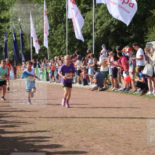 08.09.2024 - Airport Race Strokosch-Dieckow http://msf.ph/oto/7005159 08.09.2024 11:27:45 Ziel 1607, 1608, 1646, 1746, 1781, 1808, 1812, 1820, 1866, 1900, 1902, 1904, 1912, 1927, 3405, 3416, 3417, 3429, 3446 meine-sportfotos.de