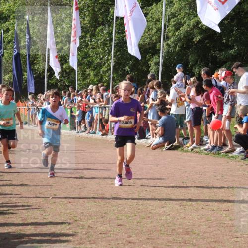 08.09.2024 - Airport Race Strokosch-Dieckow http://msf.ph/oto/7005173 08.09.2024 11:27:45 Ziel 1607, 1608, 1646, 1746, 1781, 1808, 1812, 1820, 1866, 1900, 1902, 1904, 1912, 1927, 3405, 3416, 3417, 3429, 3446 meine-sportfotos.de