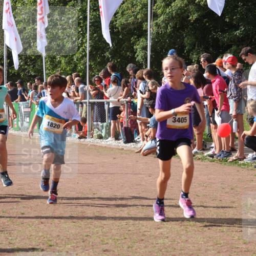 08.09.2024 - Airport Race Strokosch-Dieckow http://msf.ph/oto/7005204 08.09.2024 11:27:46 Ziel 1607, 1646, 1746, 1781, 1808, 1812, 1820, 1866, 1902, 1904, 1912, 1927, 3405, 3416, 3417, 3429, 3446 meine-sportfotos.de