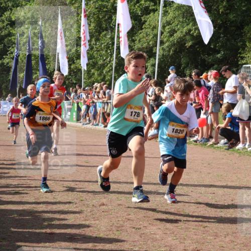 08.09.2024 - Airport Race Strokosch-Dieckow http://msf.ph/oto/7005263 08.09.2024 11:27:47 Ziel 1607, 1646, 1746, 1781, 1812, 1820, 1860, 1866, 1902, 1904, 1912, 1927, 3405, 3415, 3416, 3417, 3429 meine-sportfotos.de