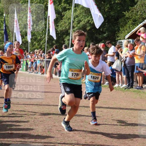 08.09.2024 - Airport Race Strokosch-Dieckow http://msf.ph/oto/7005280 08.09.2024 11:27:47 Ziel 1607, 1646, 1746, 1781, 1812, 1820, 1860, 1866, 1902, 1904, 1912, 1927, 3405, 3415, 3416, 3417, 3429 meine-sportfotos.de