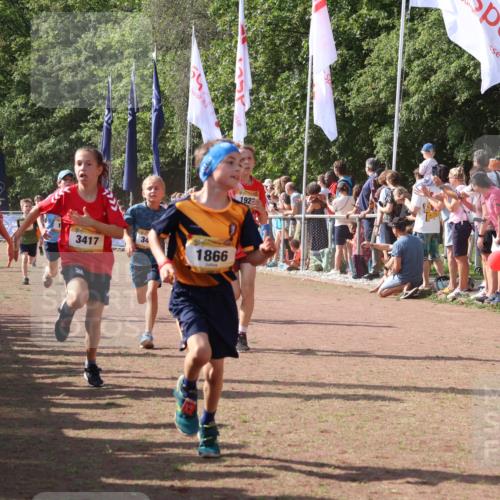 08.09.2024 - Airport Race Strokosch-Dieckow http://msf.ph/oto/7005306 08.09.2024 11:27:48 Ziel 1607, 1633, 1646, 1719, 1746, 1781, 1812, 1820, 1860, 1866, 1885, 1902, 1912, 1927, 3405, 3415, 3416, 3417, 3429 meine-sportfotos.de