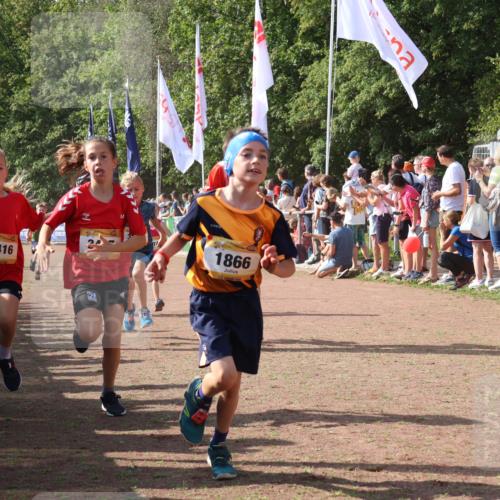 08.09.2024 - Airport Race Strokosch-Dieckow http://msf.ph/oto/7005334 08.09.2024 11:27:48 Ziel 1607, 1633, 1646, 1719, 1746, 1781, 1812, 1820, 1860, 1866, 1885, 1902, 1912, 1927, 3405, 3415, 3416, 3417, 3429 meine-sportfotos.de