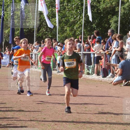 08.09.2024 - Airport Race Strokosch-Dieckow http://msf.ph/oto/7005515 08.09.2024 11:27:52 Ziel 1607, 1633, 1642, 1646, 1719, 1746, 1812, 1843, 1860, 1866, 1885, 1892, 1902, 1912, 1927, 3415, 3429, 3432 meine-sportfotos.de