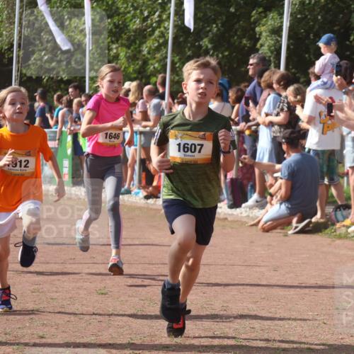08.09.2024 - Airport Race Strokosch-Dieckow http://msf.ph/oto/7005532 08.09.2024 11:27:53 Ziel 1607, 1633, 1642, 1646, 1719, 1812, 1818, 1843, 1860, 1885, 1892, 1912, 3415, 3422, 3429, 3432 meine-sportfotos.de