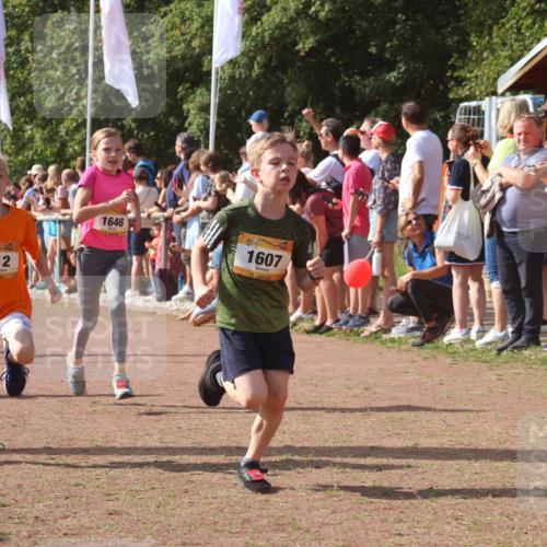08.09.2024 - Airport Race Strokosch-Dieckow http://msf.ph/oto/7005559 08.09.2024 11:27:53 Ziel 1607, 1633, 1642, 1646, 1719, 1812, 1818, 1843, 1860, 1885, 1892, 1912, 3415, 3422, 3429, 3432 meine-sportfotos.de
