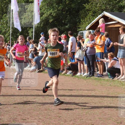 08.09.2024 - Airport Race Strokosch-Dieckow http://msf.ph/oto/7005575 08.09.2024 11:27:53 Ziel 1607, 1633, 1642, 1646, 1719, 1812, 1818, 1843, 1860, 1885, 1892, 1912, 3415, 3422, 3429, 3432 meine-sportfotos.de