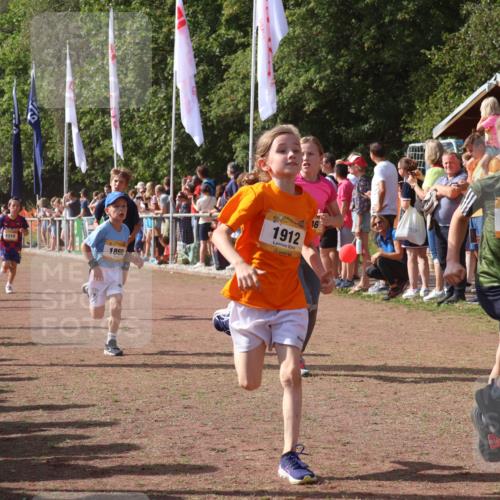 08.09.2024 - Airport Race Strokosch-Dieckow http://msf.ph/oto/7005601 08.09.2024 11:27:54 Ziel 1607, 1633, 1642, 1646, 1719, 1812, 1818, 1843, 1860, 1885, 1892, 1912, 3415, 3422, 3432 meine-sportfotos.de