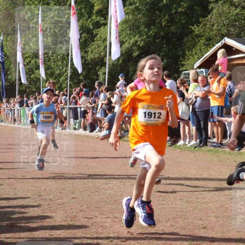 08.09.2024 - Airport Race Strokosch-Dieckow http://msf.ph/oto/7005616 08.09.2024 11:27:54 Ziel 1607, 1633, 1642, 1646, 1719, 1812, 1818, 1843, 1860, 1885, 1892, 1912, 3415, 3422, 3432 meine-sportfotos.de