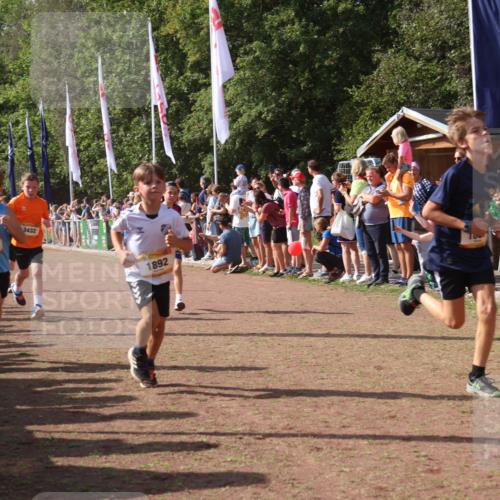 08.09.2024 - Airport Race Strokosch-Dieckow http://msf.ph/oto/7005733 08.09.2024 11:27:57 Ziel 1633, 1642, 1646, 1719, 1755, 1770, 1818, 1843, 1860, 1885, 1892, 1929, 3415, 3422, 3432 meine-sportfotos.de