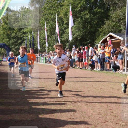 08.09.2024 - Airport Race Strokosch-Dieckow http://msf.ph/oto/7005747 08.09.2024 11:27:57 Ziel 1633, 1642, 1646, 1719, 1755, 1770, 1818, 1843, 1860, 1885, 1892, 1929, 3415, 3422, 3432 meine-sportfotos.de