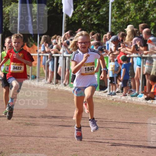 08.09.2024 - Airport Race Strokosch-Dieckow http://msf.ph/oto/7005890 08.09.2024 11:28:01 Ziel 1626, 1642, 1755, 1763, 1770, 1818, 1843, 1892, 1895, 1911, 1929, 3422, 3432 meine-sportfotos.de