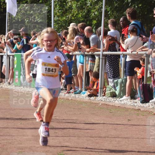 08.09.2024 - Airport Race Strokosch-Dieckow http://msf.ph/oto/7005901 08.09.2024 11:28:01 Ziel 1626, 1642, 1755, 1763, 1770, 1818, 1843, 1892, 1895, 1911, 1929, 3422, 3432 meine-sportfotos.de