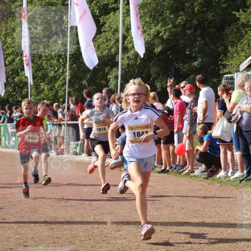08.09.2024 - Airport Race Strokosch-Dieckow http://msf.ph/oto/7005965 08.09.2024 11:28:02 Ziel 1626, 1726, 1738, 1755, 1763, 1768, 1770, 1818, 1843, 1895, 1911, 1929, 3422, 3432 meine-sportfotos.de