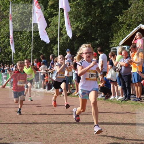 08.09.2024 - Airport Race Strokosch-Dieckow http://msf.ph/oto/7005979 08.09.2024 11:28:03 Ziel 1622, 1626, 1653, 1726, 1738, 1755, 1763, 1768, 1770, 1809, 1818, 1821, 1843, 1895, 1911, 1929, 3422, 3432 meine-sportfotos.de