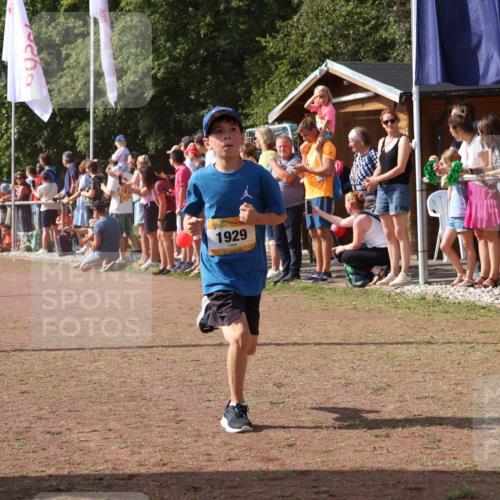 08.09.2024 - Airport Race Strokosch-Dieckow http://msf.ph/oto/7006120 08.09.2024 11:28:06 Ziel 1622, 1626, 1653, 1726, 1738, 1755, 1763, 1768, 1770, 1809, 1821, 1895, 1911, 1929 meine-sportfotos.de