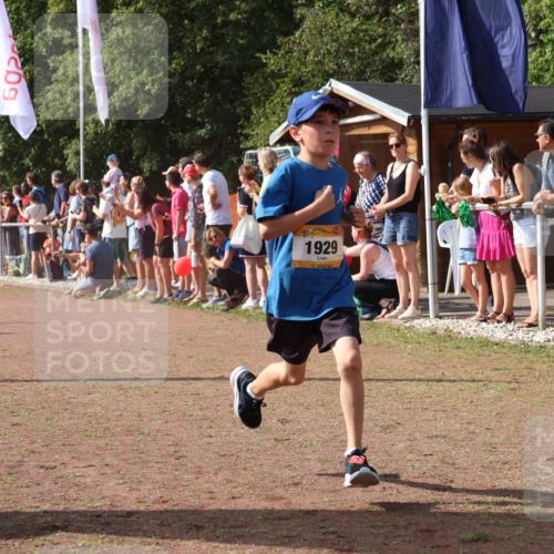 08.09.2024 - Airport Race Strokosch-Dieckow http://msf.ph/oto/7006133 08.09.2024 11:28:06 Ziel 1622, 1626, 1653, 1726, 1738, 1755, 1763, 1768, 1770, 1809, 1821, 1895, 1911, 1929 meine-sportfotos.de