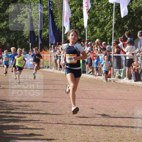 08.09.2024 - Airport Race Strokosch-Dieckow http://msf.ph/oto/7006155 08.09.2024 11:28:07 Ziel 1622, 1626, 1653, 1706, 1709, 1726, 1738, 1755, 1763, 1768, 1770, 1809, 1821, 1895, 1911, 1929 meine-sportfotos.de