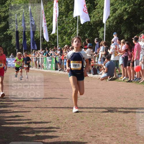 08.09.2024 - Airport Race Strokosch-Dieckow http://msf.ph/oto/7006198 08.09.2024 11:28:08 Ziel 1622, 1626, 1653, 1706, 1709, 1726, 1738, 1763, 1768, 1809, 1821, 1895, 1911, 1929 meine-sportfotos.de