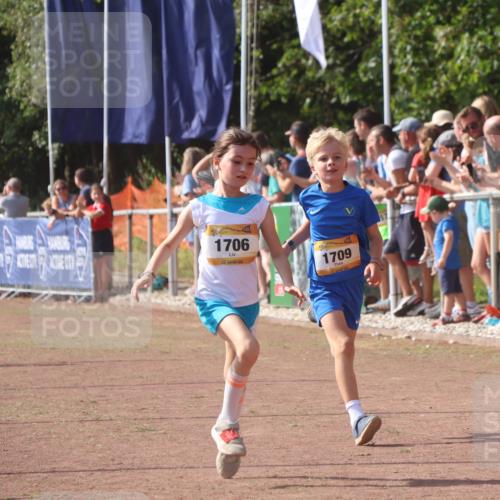 08.09.2024 - Airport Race Strokosch-Dieckow http://msf.ph/oto/7006447 08.09.2024 11:28:14 Ziel 1602, 1606, 1609, 1622, 1653, 1706, 1709, 1726, 1738, 1768, 1809, 1821, 1827, 1881, 3435 meine-sportfotos.de