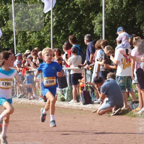 08.09.2024 - Airport Race Strokosch-Dieckow http://msf.ph/oto/7006466 08.09.2024 11:28:15 Ziel 1602, 1606, 1609, 1622, 1653, 1706, 1709, 1762, 1809, 1821, 1827, 1881, 1890, 3435 meine-sportfotos.de