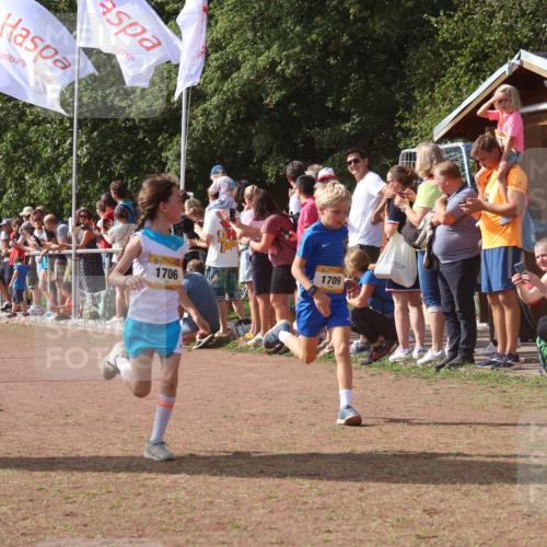 08.09.2024 - Airport Race Strokosch-Dieckow http://msf.ph/oto/7006517 08.09.2024 11:28:16 Ziel 1602, 1606, 1609, 1618, 1706, 1709, 1762, 1827, 1881, 1890, 3435 meine-sportfotos.de