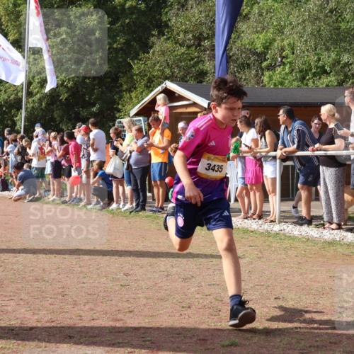 08.09.2024 - Airport Race Strokosch-Dieckow http://msf.ph/oto/7006691 08.09.2024 11:28:20 Ziel 1602, 1606, 1609, 1618, 1632, 1698, 1742, 1762, 1819, 1827, 1830, 1881, 1890, 3408, 3435 meine-sportfotos.de