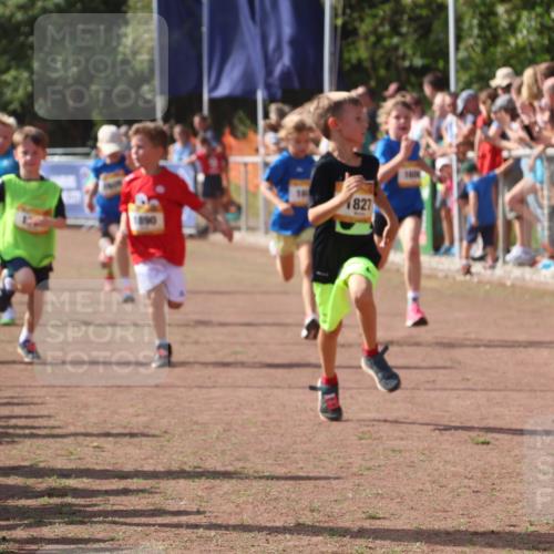 08.09.2024 - Airport Race Strokosch-Dieckow http://msf.ph/oto/7006699 08.09.2024 11:28:21 Ziel 1602, 1606, 1609, 1618, 1632, 1698, 1742, 1762, 1819, 1827, 1830, 1881, 1890, 3408, 3435 meine-sportfotos.de