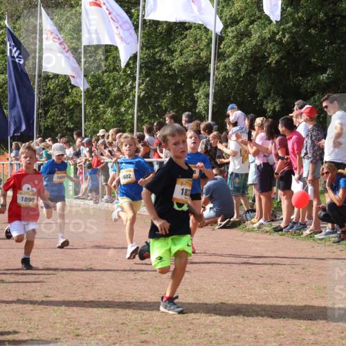 08.09.2024 - Airport Race Strokosch-Dieckow http://msf.ph/oto/7006759 08.09.2024 11:28:22 Ziel 1602, 1606, 1609, 1618, 1632, 1698, 1742, 1762, 1819, 1827, 1830, 1881, 1890, 3408, 3435 meine-sportfotos.de