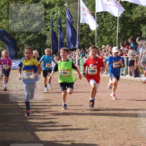 08.09.2024 - Airport Race Strokosch-Dieckow http://msf.ph/oto/7006790 08.09.2024 11:28:23 Ziel 1602, 1606, 1609, 1618, 1632, 1698, 1742, 1762, 1819, 1827, 1830, 1881, 1890, 3408 meine-sportfotos.de