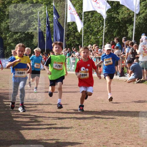 08.09.2024 - Airport Race Strokosch-Dieckow http://msf.ph/oto/7006806 08.09.2024 11:28:23 Ziel 1602, 1606, 1609, 1618, 1632, 1698, 1742, 1762, 1819, 1827, 1830, 1881, 1890, 3408 meine-sportfotos.de