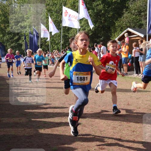 08.09.2024 - Airport Race Strokosch-Dieckow http://msf.ph/oto/7006884 08.09.2024 11:28:24 Ziel 1602, 1606, 1609, 1618, 1632, 1698, 1742, 1762, 1819, 1827, 1830, 1881, 1890, 3408 meine-sportfotos.de
