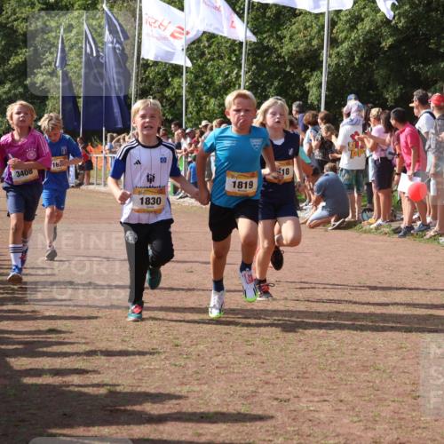 08.09.2024 - Airport Race Strokosch-Dieckow http://msf.ph/oto/7006933 08.09.2024 11:28:25 Ziel 1602, 1606, 1609, 1618, 1620, 1632, 1698, 1716, 1742, 1762, 1819, 1827, 1830, 1881, 1890, 3408 meine-sportfotos.de