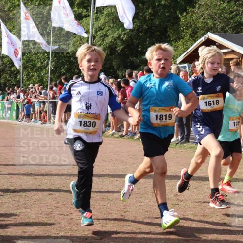 08.09.2024 - Airport Race Strokosch-Dieckow http://msf.ph/oto/7006995 08.09.2024 11:28:26 Ziel 1606, 1618, 1620, 1632, 1698, 1716, 1742, 1762, 1819, 1830, 1881, 1890, 3408 meine-sportfotos.de