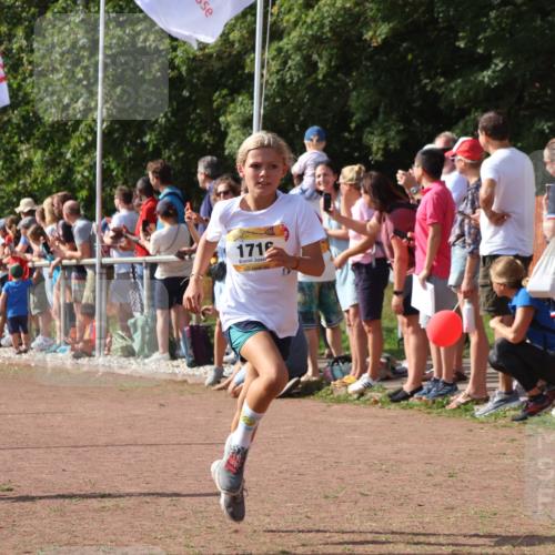 08.09.2024 - Airport Race Strokosch-Dieckow http://msf.ph/oto/7007277 08.09.2024 11:28:33 Ziel 1620, 1716, 1739, 1779, 1790, 1858, 1918, 3419, 3426 meine-sportfotos.de