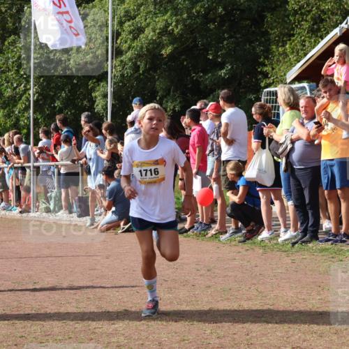 08.09.2024 - Airport Race Strokosch-Dieckow http://msf.ph/oto/7007291 08.09.2024 11:28:33 Ziel 1620, 1716, 1739, 1779, 1790, 1858, 1918, 3419, 3426 meine-sportfotos.de
