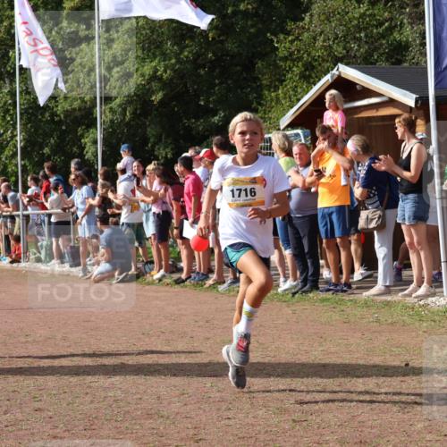 08.09.2024 - Airport Race Strokosch-Dieckow http://msf.ph/oto/7007318 08.09.2024 11:28:33 Ziel 1620, 1716, 1739, 1779, 1790, 1858, 1918, 3419, 3426 meine-sportfotos.de