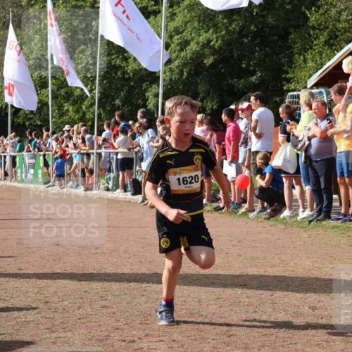 08.09.2024 - Airport Race Strokosch-Dieckow http://msf.ph/oto/7007383 08.09.2024 11:28:35 Ziel 1604, 1620, 1716, 1739, 1760, 1771, 1779, 1790, 1858, 1918, 3419, 3426 meine-sportfotos.de