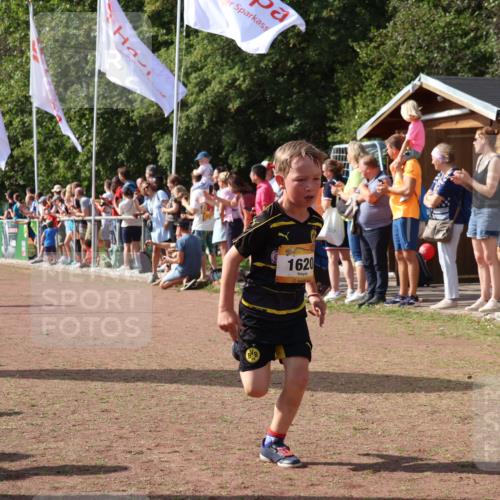 08.09.2024 - Airport Race Strokosch-Dieckow http://msf.ph/oto/7007397 08.09.2024 11:28:35 Ziel 1604, 1620, 1716, 1739, 1760, 1771, 1779, 1790, 1858, 1918, 3419, 3426 meine-sportfotos.de