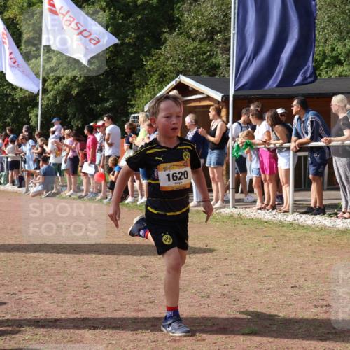 08.09.2024 - Airport Race Strokosch-Dieckow http://msf.ph/oto/7007410 08.09.2024 11:28:35 Ziel 1604, 1620, 1716, 1739, 1760, 1771, 1779, 1790, 1858, 1918, 3419, 3426 meine-sportfotos.de