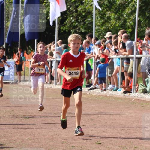 08.09.2024 - Airport Race Strokosch-Dieckow http://msf.ph/oto/7007421 08.09.2024 11:28:36 Ziel 1604, 1620, 1716, 1739, 1760, 1771, 1779, 1790, 1858, 1918, 3419, 3426 meine-sportfotos.de