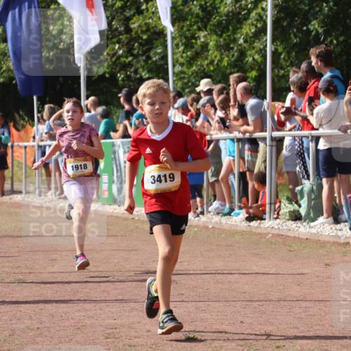 08.09.2024 - Airport Race Strokosch-Dieckow http://msf.ph/oto/7007429 08.09.2024 11:28:36 Ziel 1604, 1620, 1716, 1739, 1760, 1771, 1779, 1790, 1858, 1918, 3419, 3426 meine-sportfotos.de