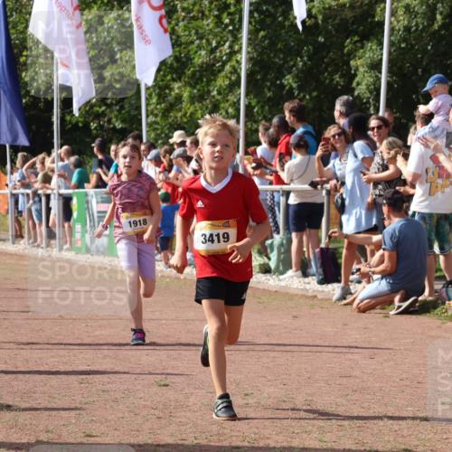 08.09.2024 - Airport Race Strokosch-Dieckow http://msf.ph/oto/7007447 08.09.2024 11:28:37 Ziel 1604, 1620, 1716, 1731, 1739, 1760, 1771, 1779, 1790, 1858, 1918, 3402, 3419, 3426 meine-sportfotos.de