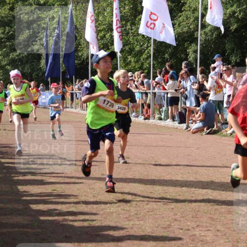 08.09.2024 - Airport Race Strokosch-Dieckow http://msf.ph/oto/7007530 08.09.2024 11:28:38 Ziel 1604, 1731, 1739, 1760, 1771, 1779, 1790, 1858, 1918, 3402, 3419, 3426 meine-sportfotos.de