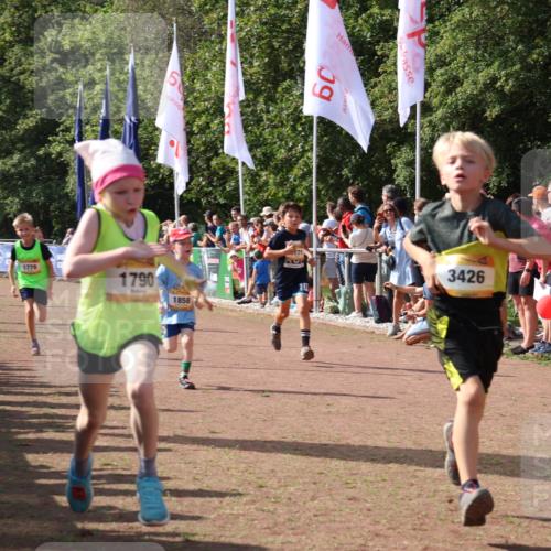08.09.2024 - Airport Race Strokosch-Dieckow http://msf.ph/oto/7007605 08.09.2024 11:28:40 Ziel 1604, 1731, 1739, 1760, 1771, 1779, 1790, 1817, 1858, 1918, 1933, 3402, 3404, 3419, 3426 meine-sportfotos.de