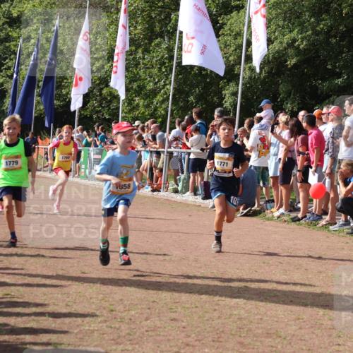 08.09.2024 - Airport Race Strokosch-Dieckow http://msf.ph/oto/7007657 08.09.2024 11:28:41 Ziel 1604, 1660, 1731, 1739, 1760, 1771, 1779, 1790, 1817, 1858, 1918, 1933, 3402, 3404, 3419, 3426 meine-sportfotos.de
