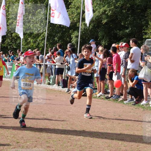 08.09.2024 - Airport Race Strokosch-Dieckow http://msf.ph/oto/7007670 08.09.2024 11:28:41 Ziel 1604, 1660, 1731, 1739, 1760, 1771, 1779, 1790, 1817, 1858, 1918, 1933, 3402, 3404, 3419, 3426 meine-sportfotos.de